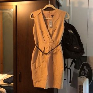 Ann Taylor Tan Dress